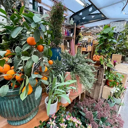 Διαμέρισμα Beautiful New And Comfortable 10min From Montmartre *