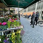 Beautiful New And Comfortable 10min From Montmartre アパート *